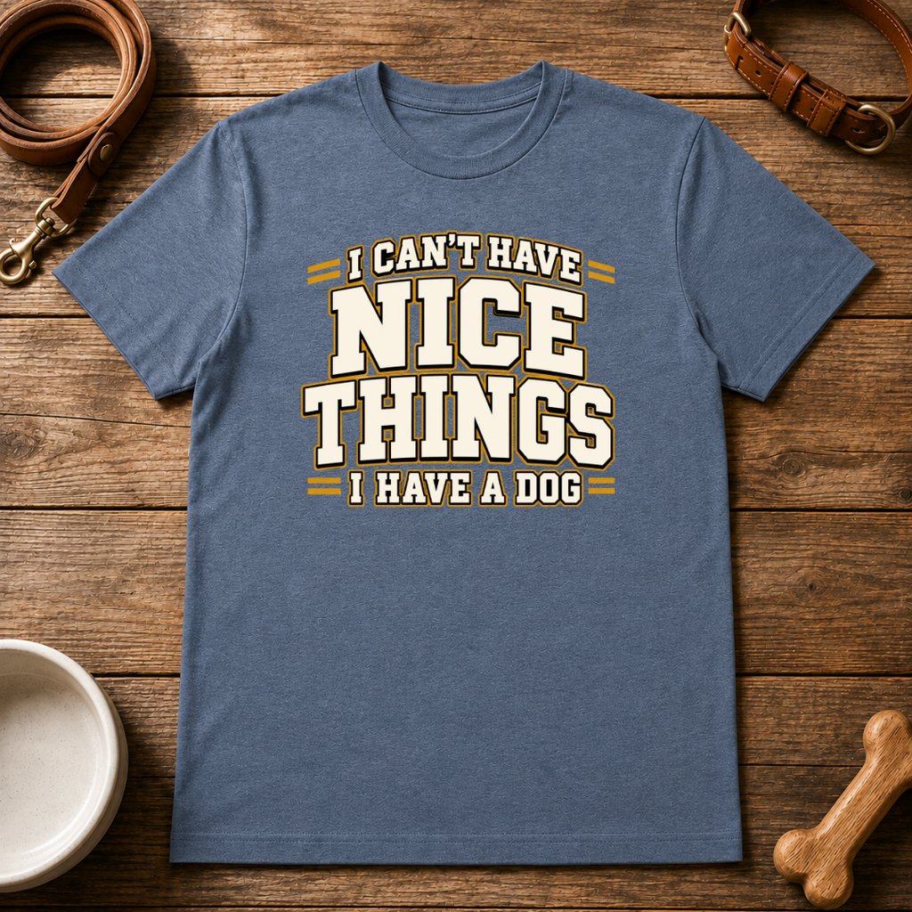 I Can't Have Nice Things T-Shirt