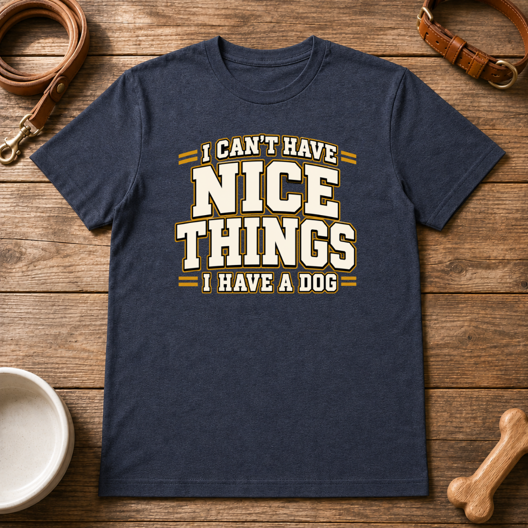 I Can't Have Nice Things T-Shirt