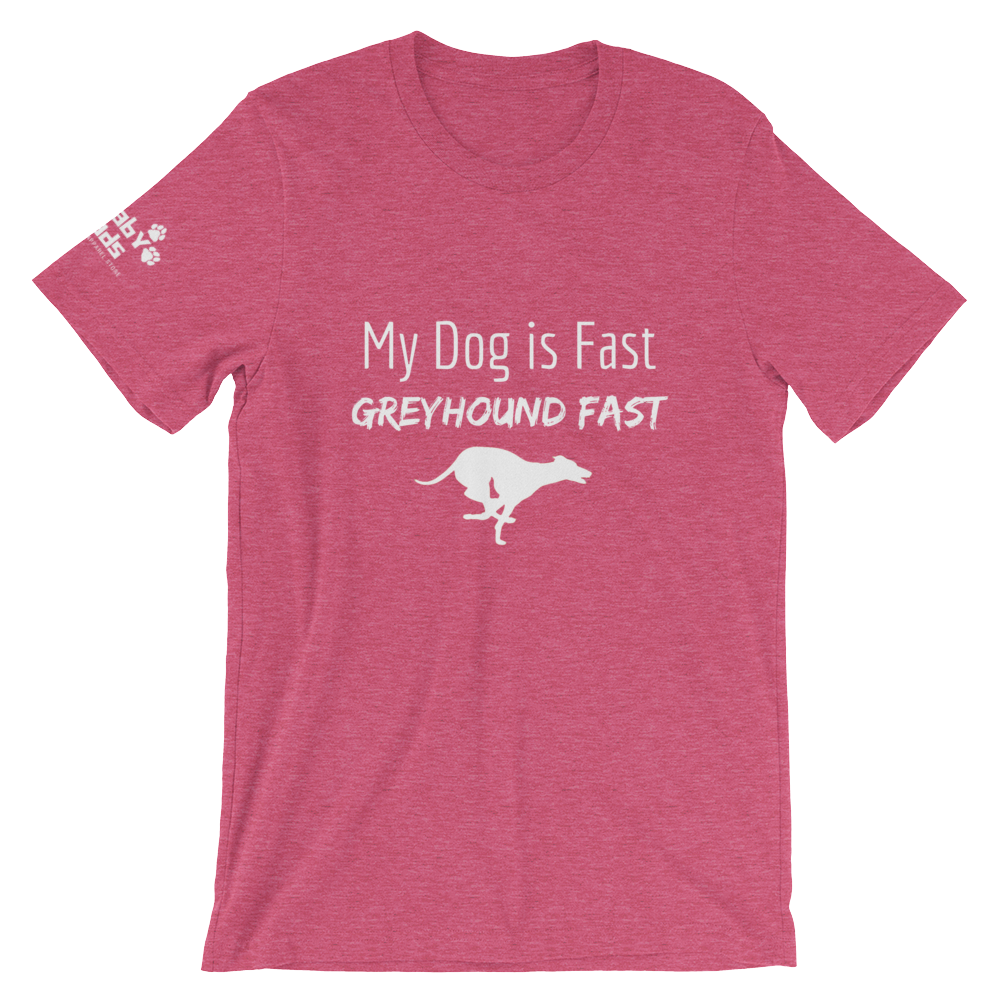 My Dog is Greyhound Fast T-Shirt